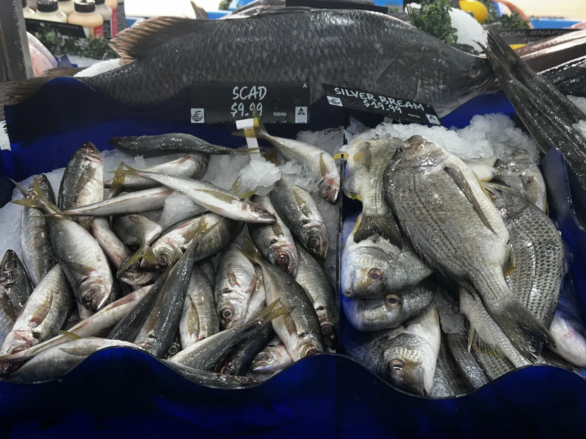Photo 15 of Tasman Star Seafood Market