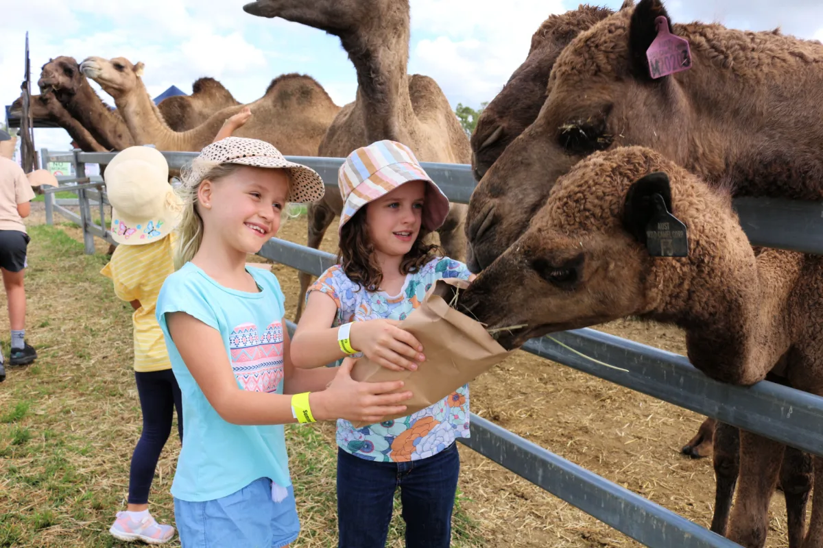 Things to do with kids in the Scenic RIm — image 1