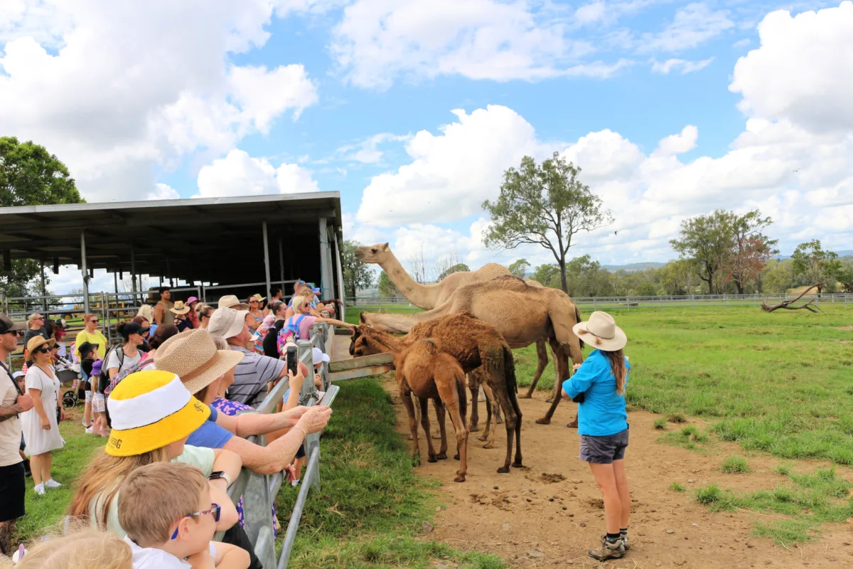 Farm Tours Brisbane — image 4