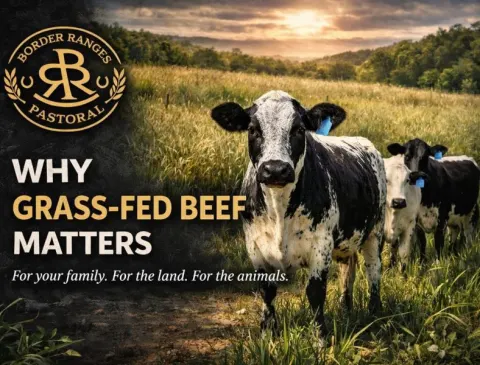 For your Family, For the Land, For the Animals