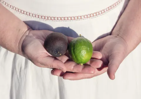 Featured image for Australian Black Limes