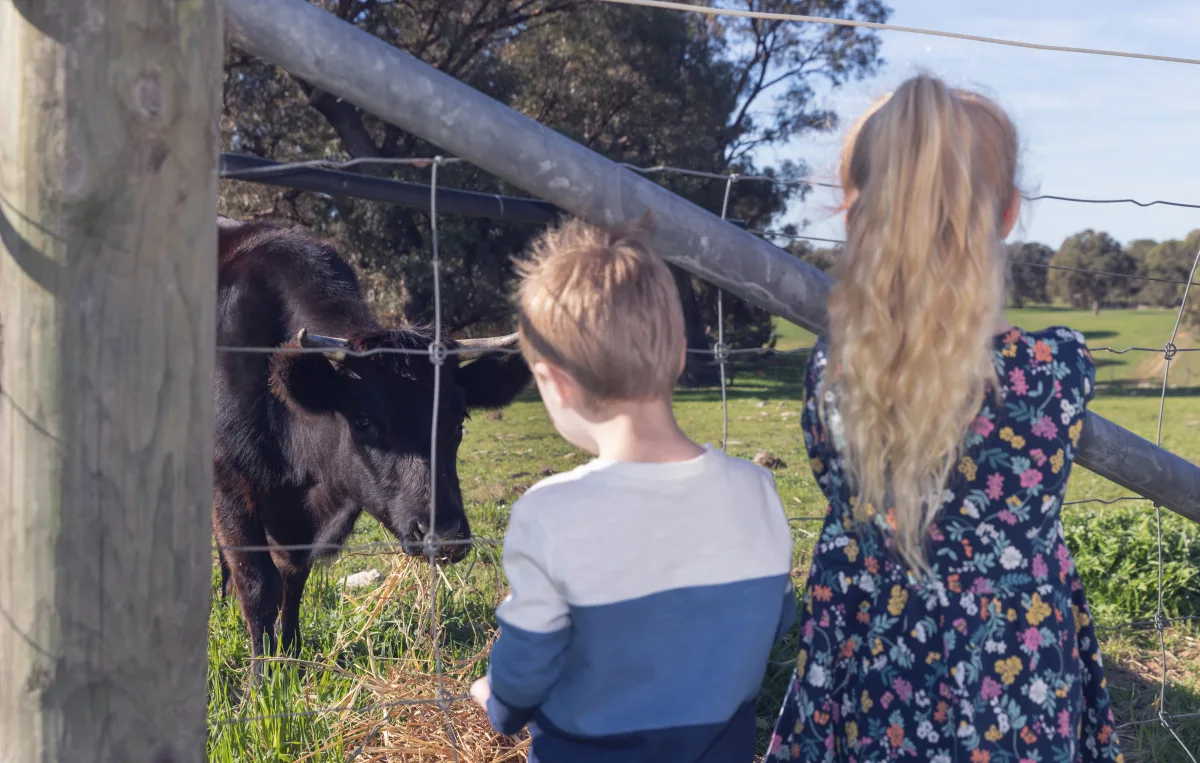 Feeding the animals — image 2