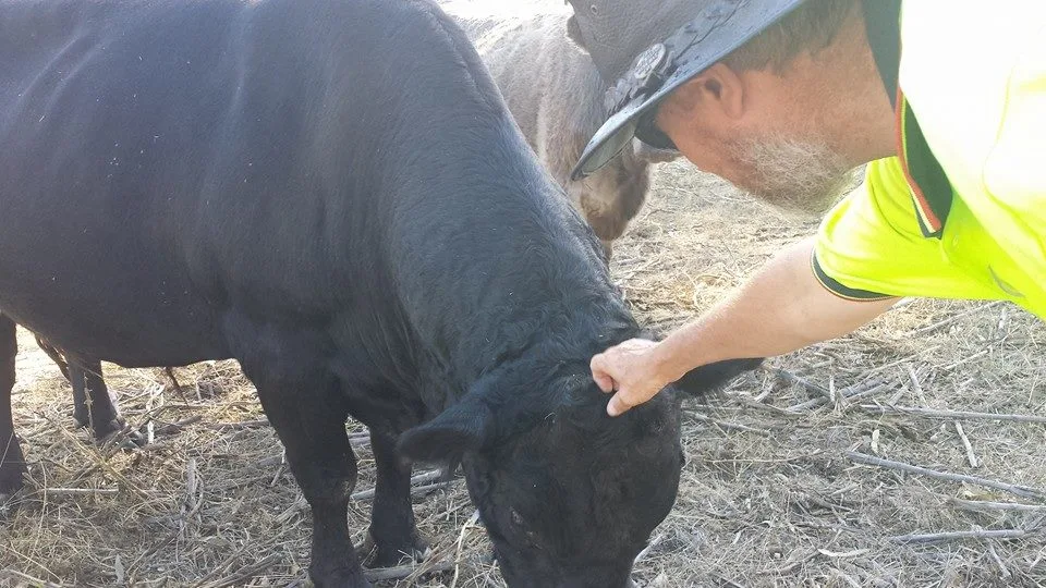 Getting to know the animals — image 3