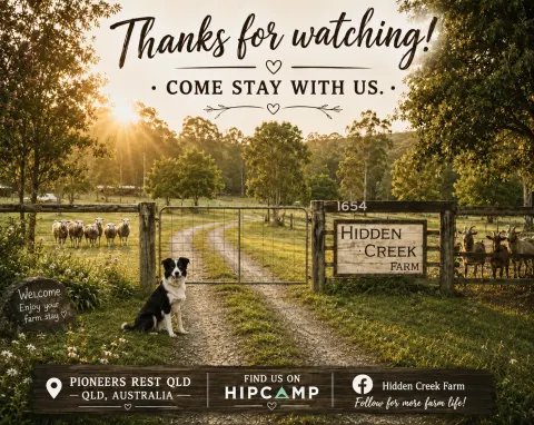 Featured image for Hidden Creek Farm