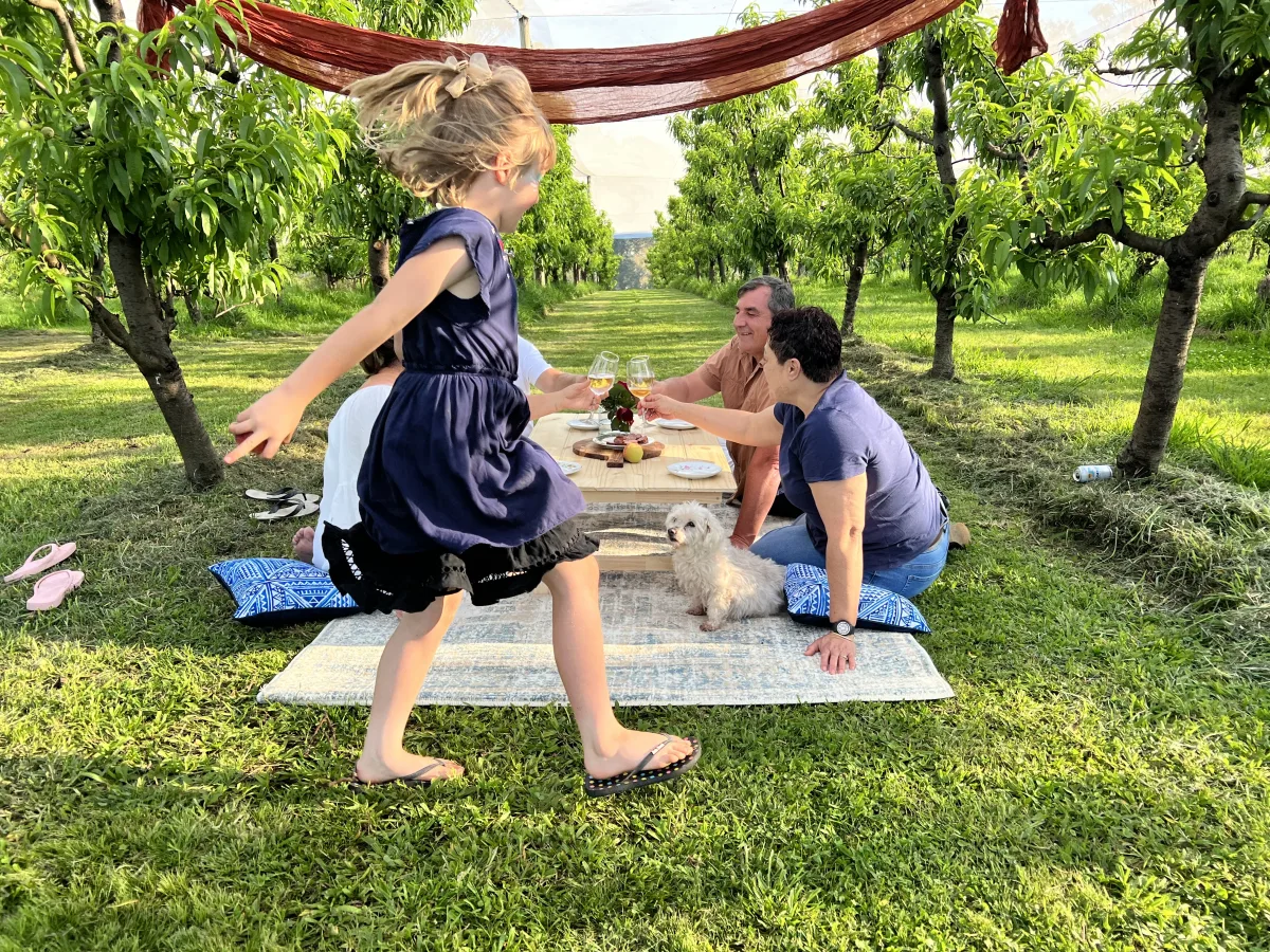 Bring your picnic blanket and enjoy a relaxing day out surrounded by beautiful peach trees, fresh country air and nature. A perfect family day on the farm! 💛 — image 3