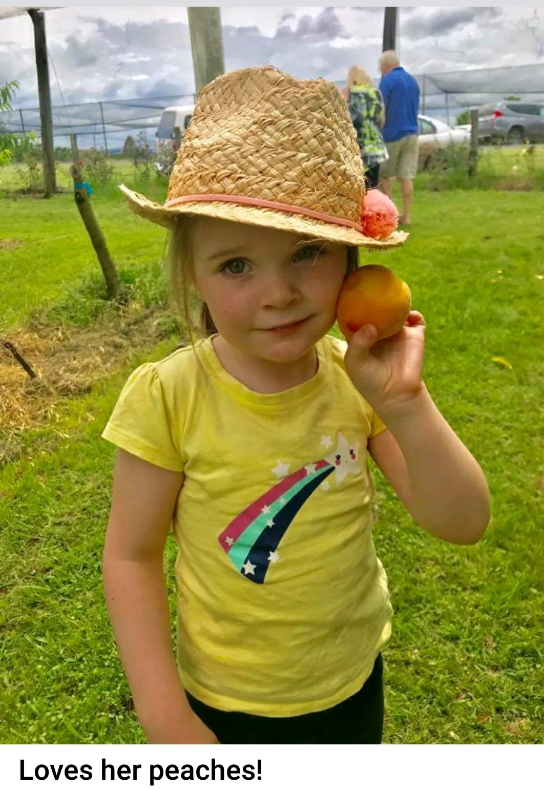 Kids love the experience of picking their own peaches and nectarines straight from the trees. A fun day on the farm and memories to take home! 🌳 — image 4