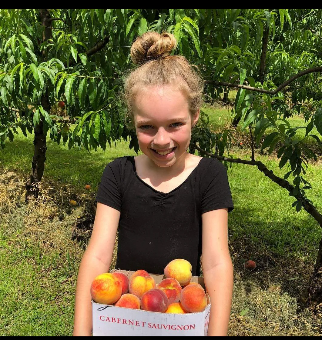 Kids love the experience of picking their own peaches and nectarines straight from the trees. A fun day on the farm and memories to take home! 🌳 — image 5