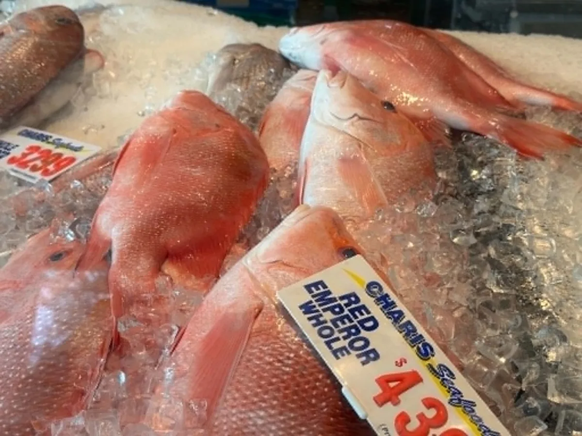Photo 5 of Charis Seafoods