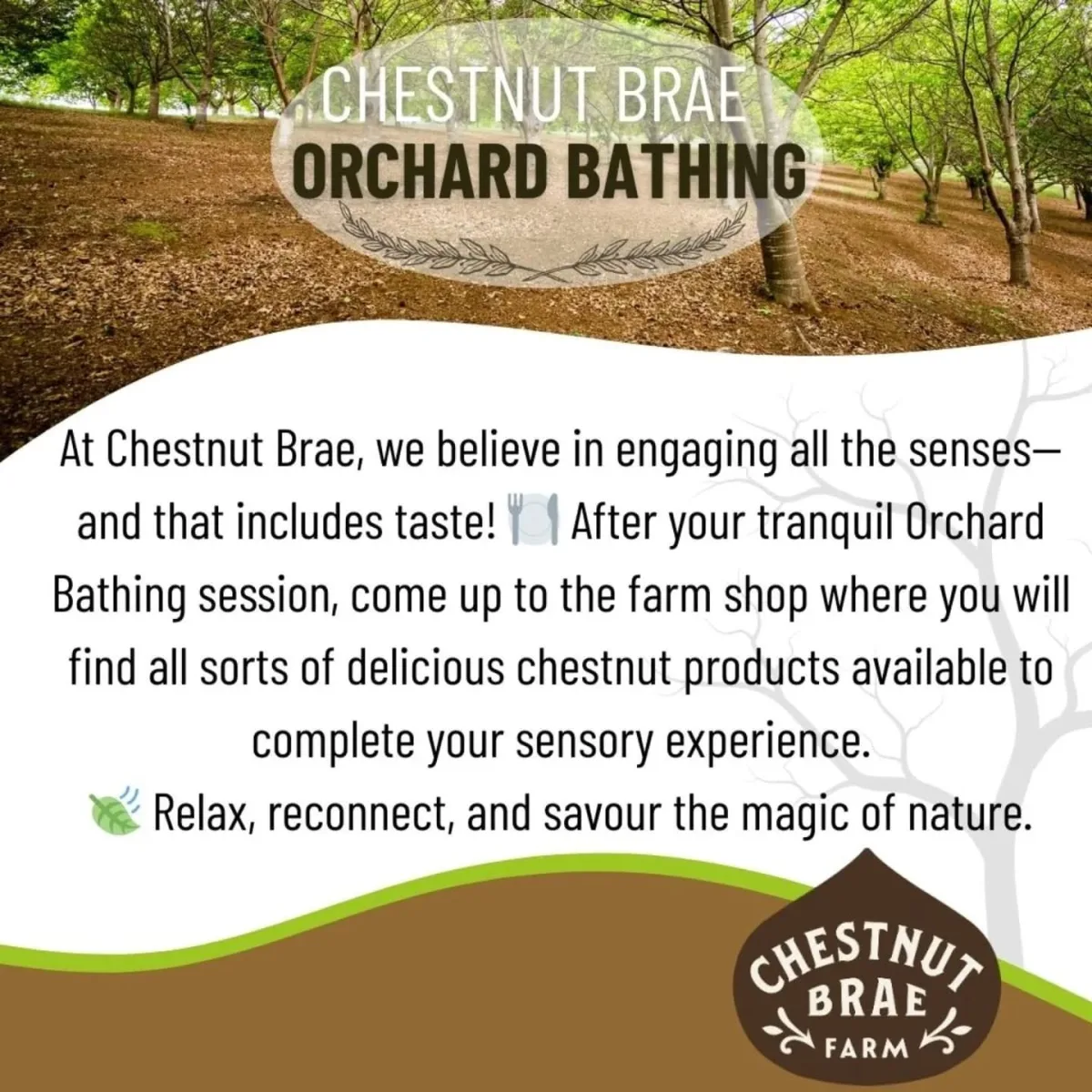 Photo 3 of Chestnut Brae