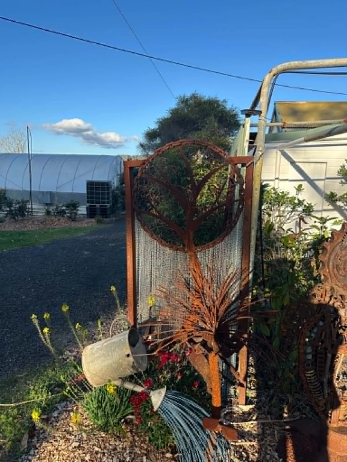 Photo 2 of Daley’s Fruit Tree Nursery