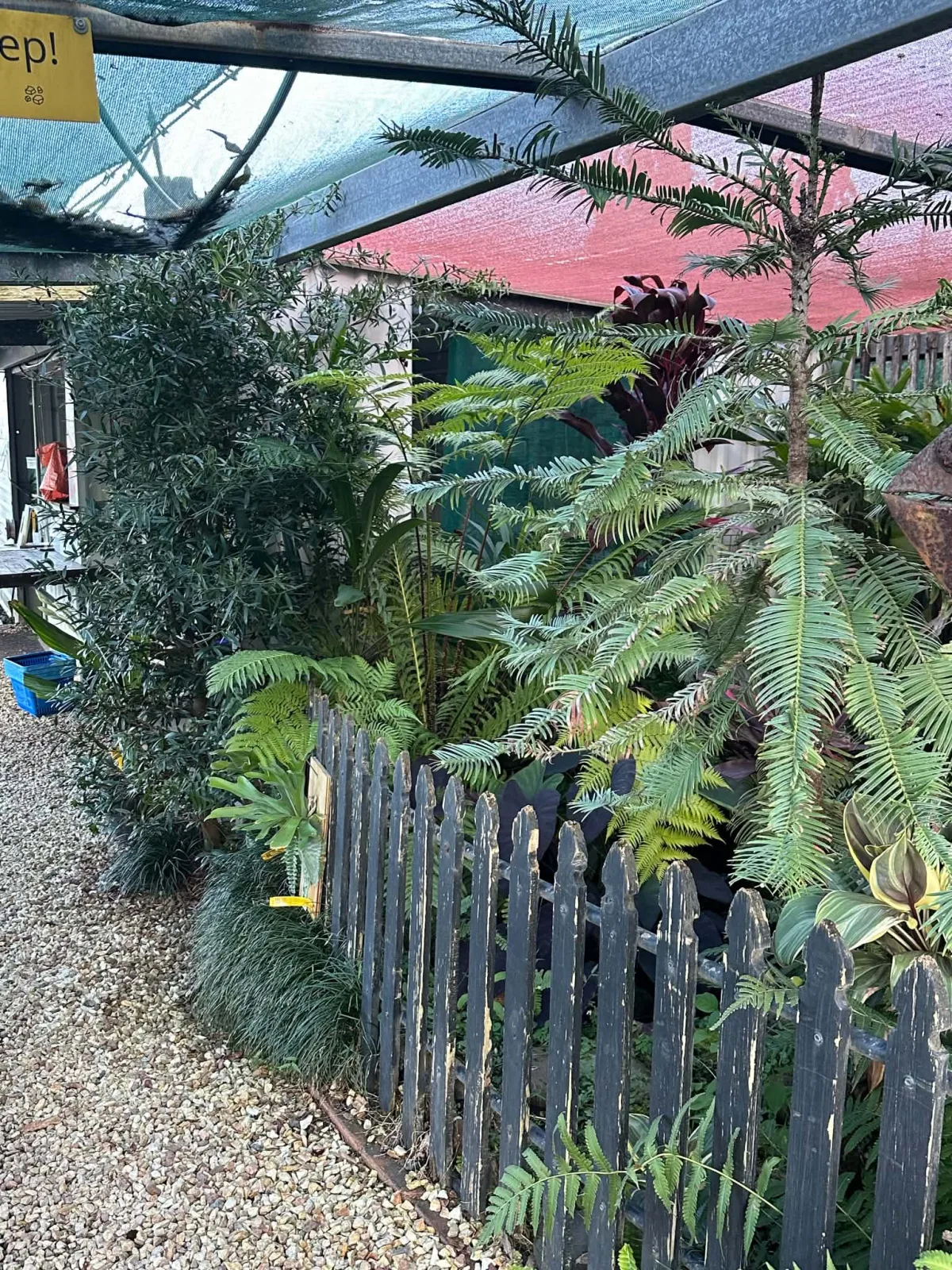 Photo 6 of Daley’s Fruit Tree Nursery