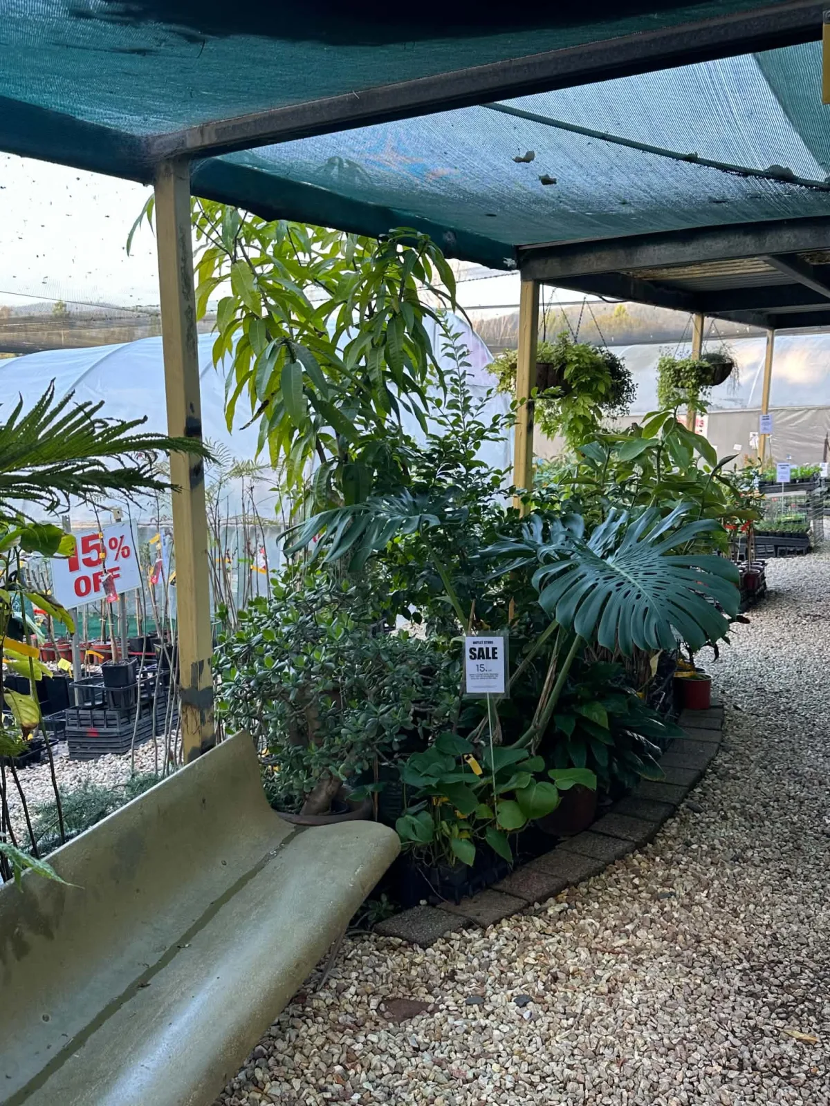 Photo 7 of Daley’s Fruit Tree Nursery