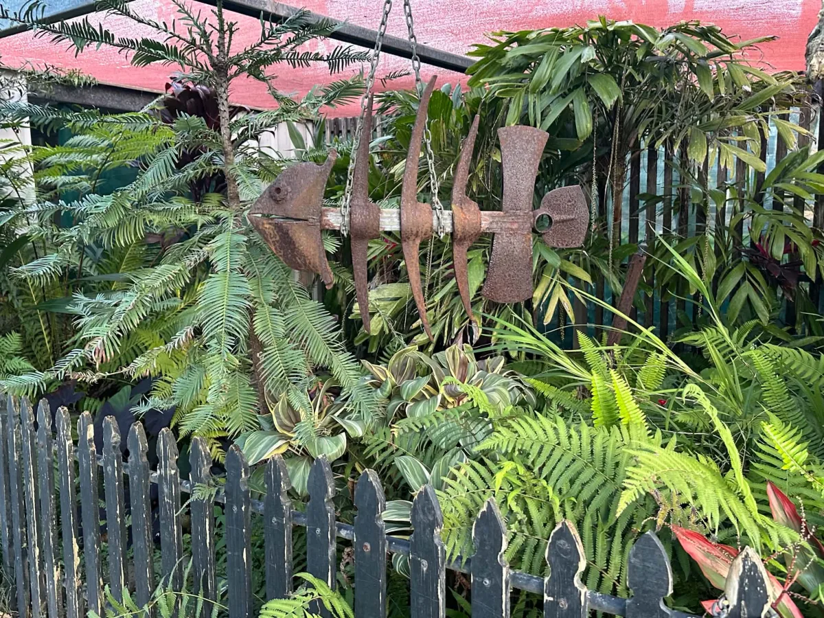 Photo 8 of Daley’s Fruit Tree Nursery