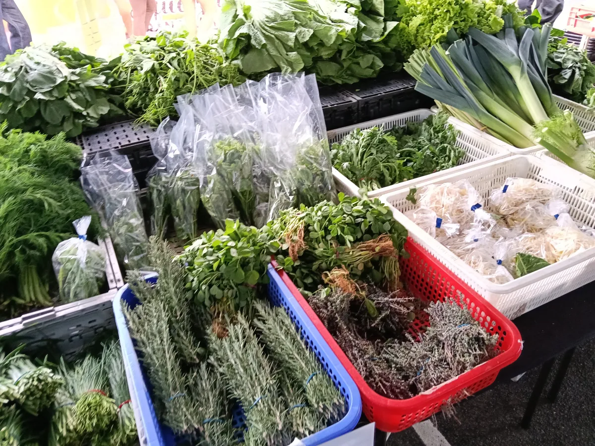 Photo 27 of Burleigh Farmers Market