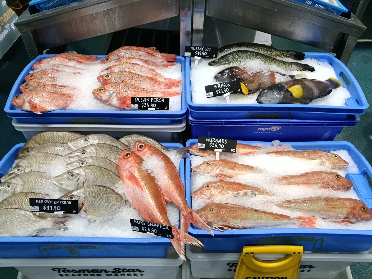 Photo 24 of Tasman Star Seafoods - Burleigh Heads