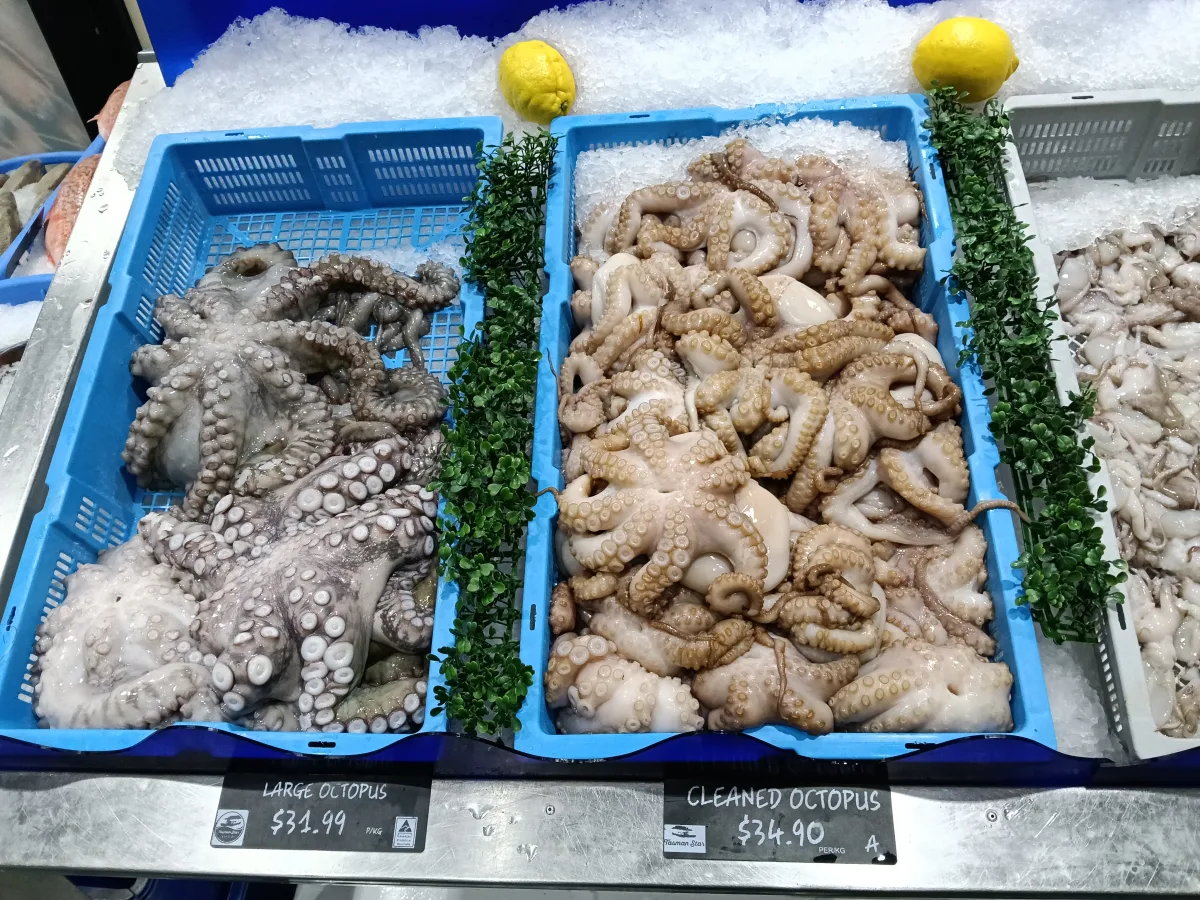 Photo 27 of Tasman Star Seafoods - Burleigh Heads