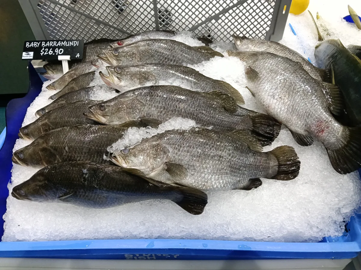 Photo 29 of Tasman Star Seafoods - Burleigh Heads