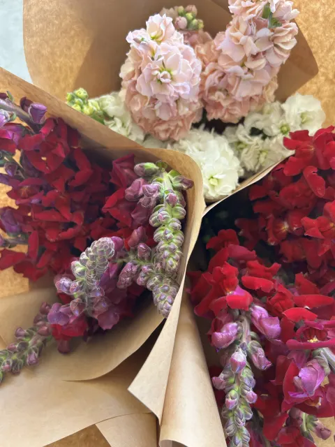 Featured image for Bloomin Fresh