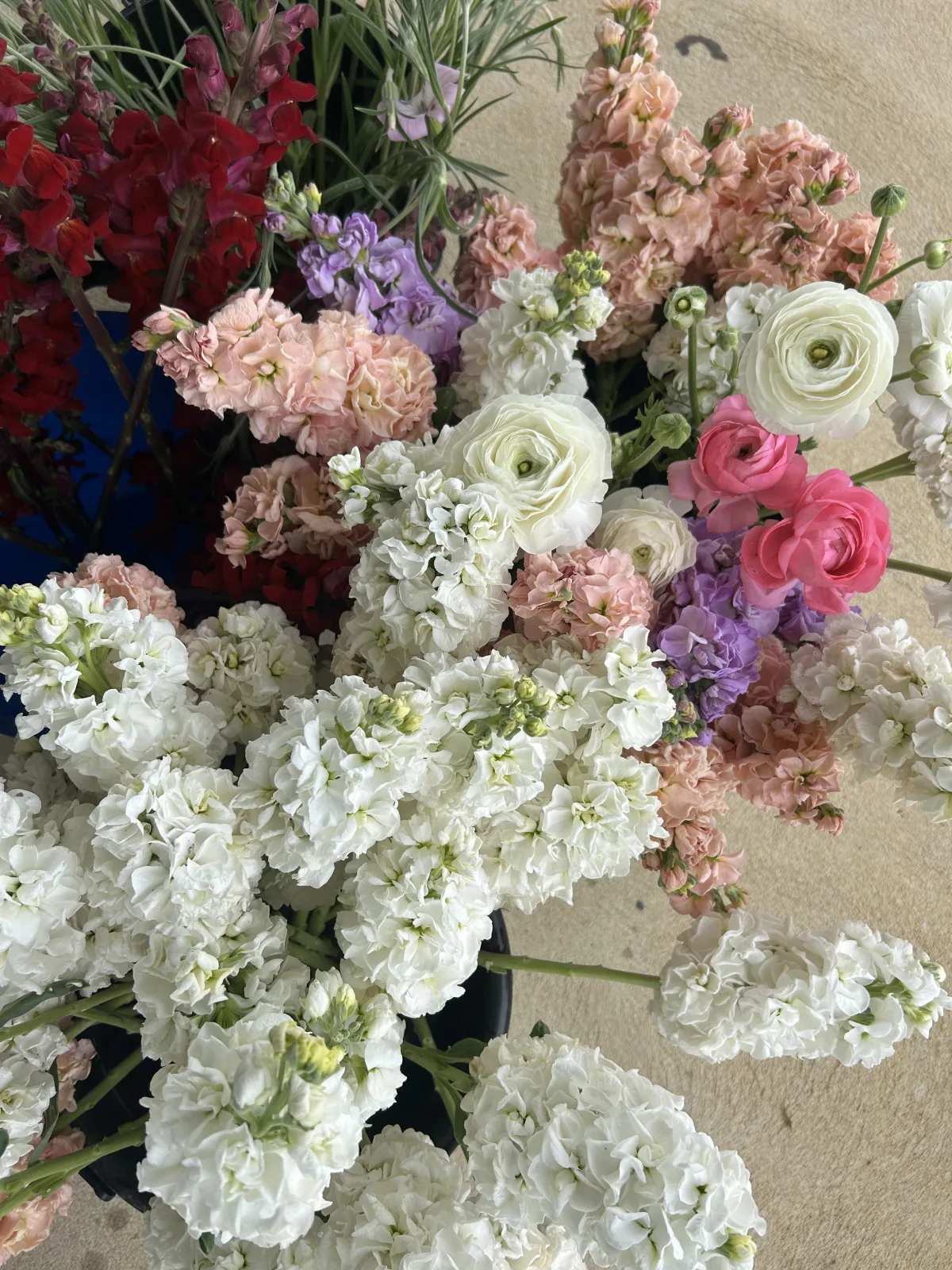 Photo 3 of Bloomin Fresh