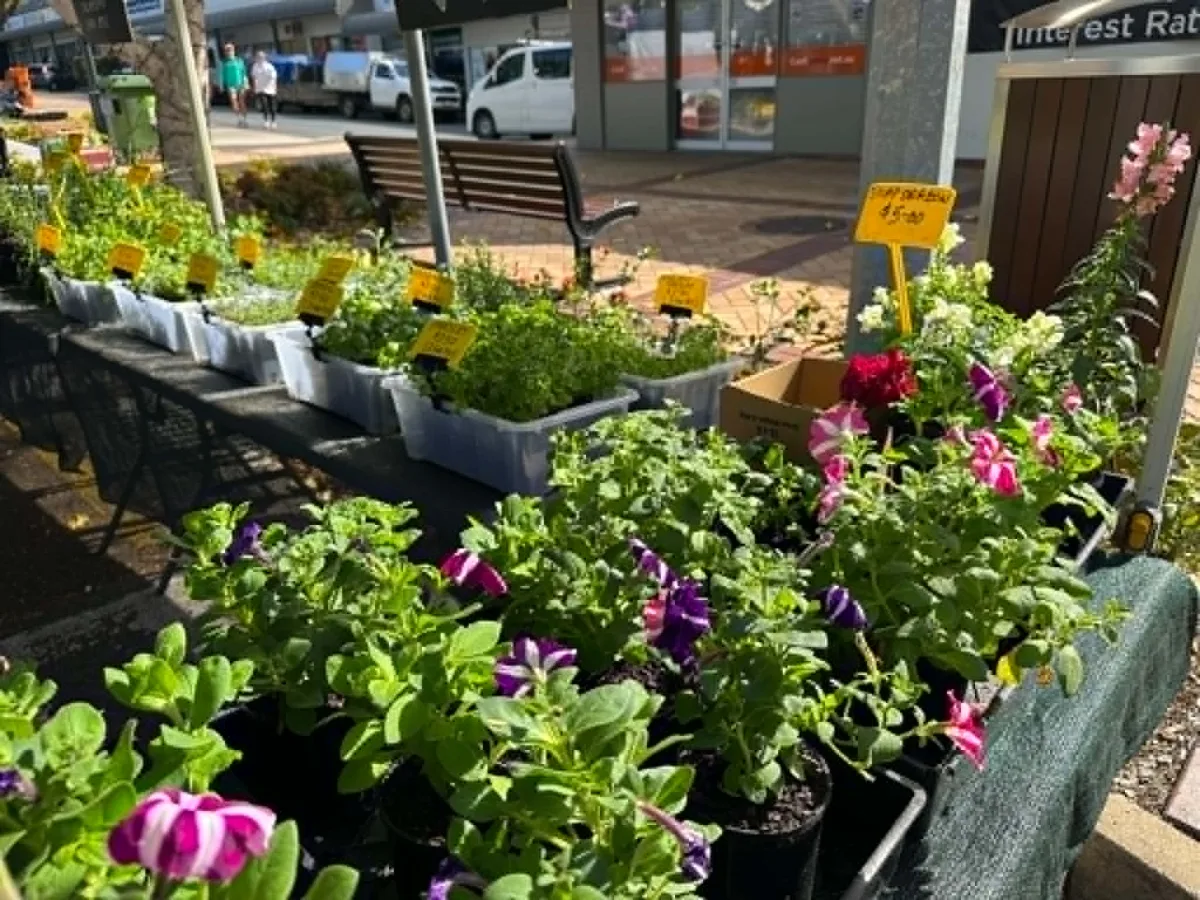 Photo 13 of Nerang Farmers Market