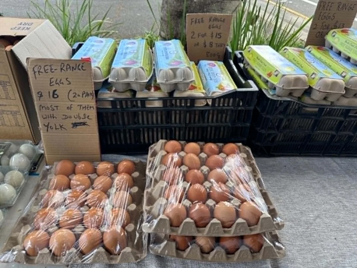 Photo 17 of Nerang Farmers Market