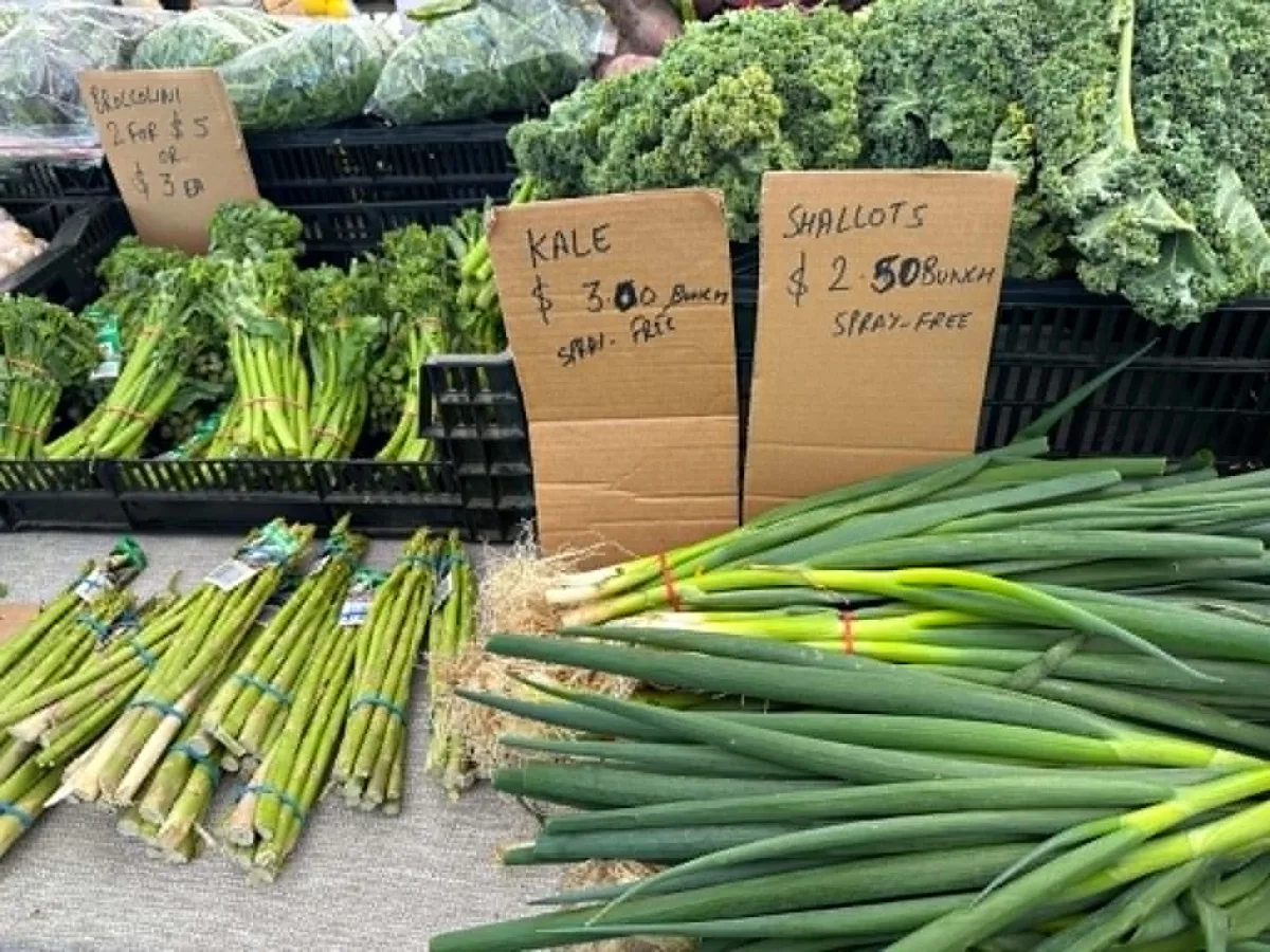 Photo 18 of Nerang Farmers Market