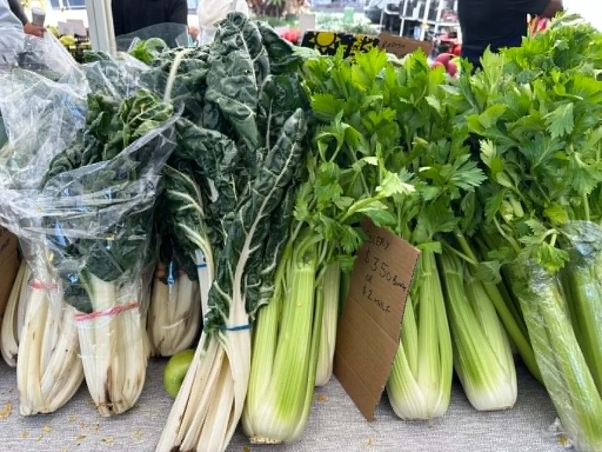 Photo 19 of Nerang Farmers Market