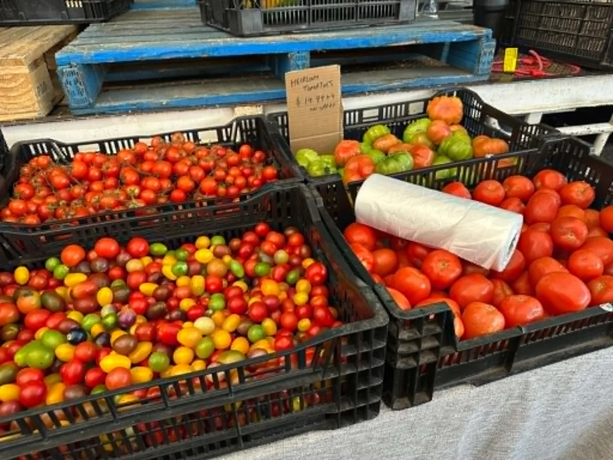 Photo 21 of Nerang Farmers Market