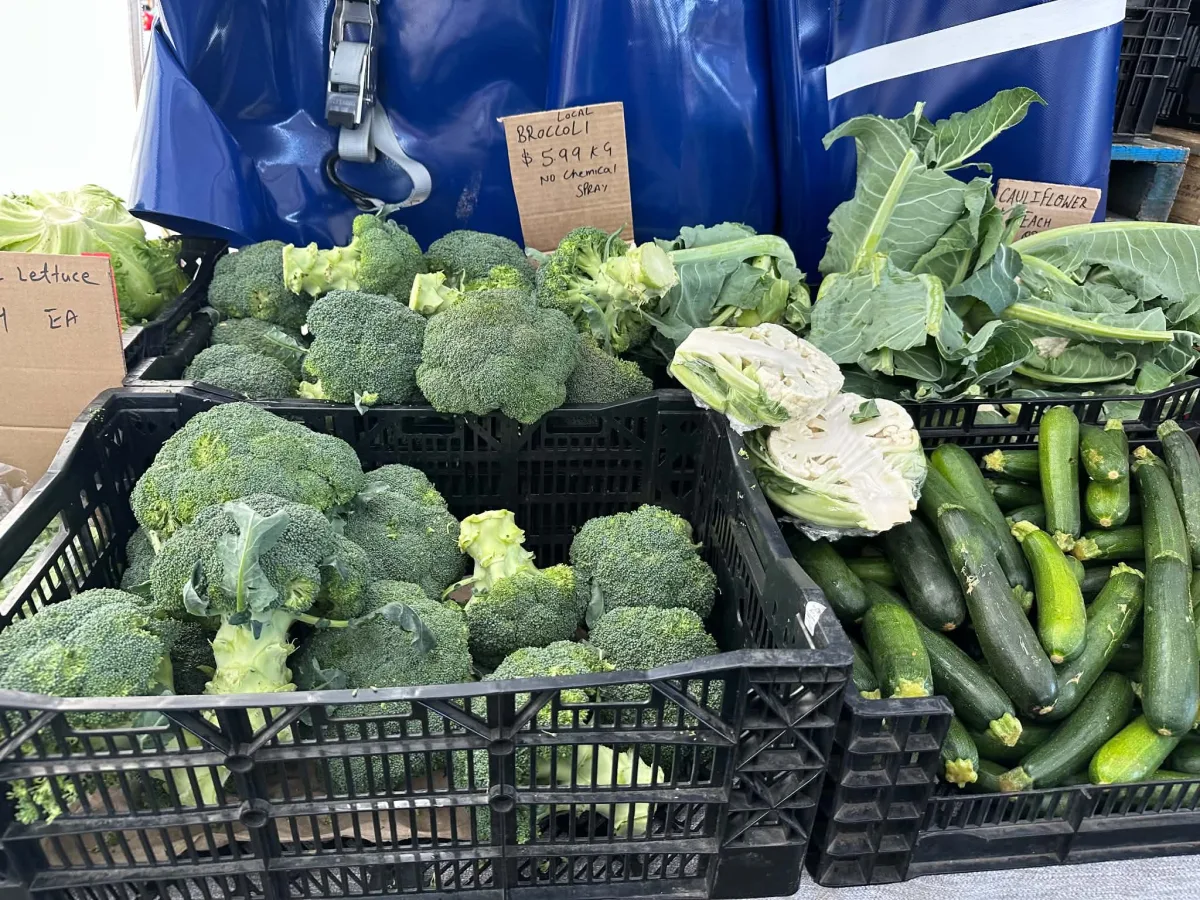 Photo 22 of Nerang Farmers Market