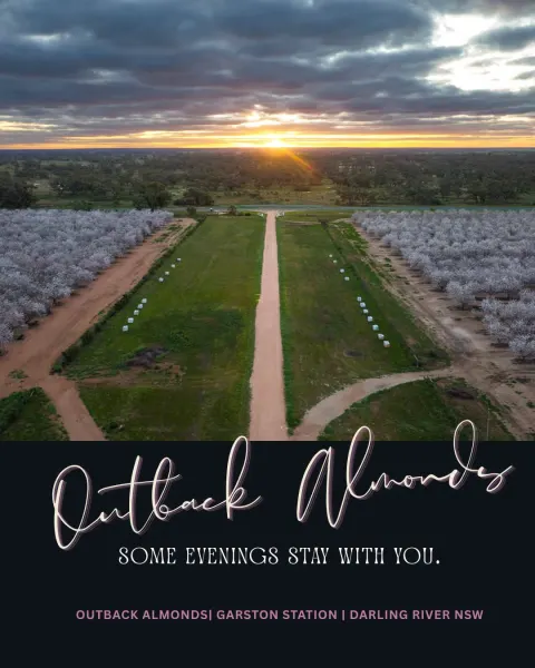 Featured image for Outback Almonds