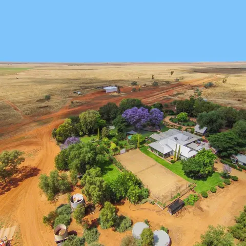 Featured image for Corynnia Station